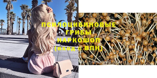 мескалин Абинск