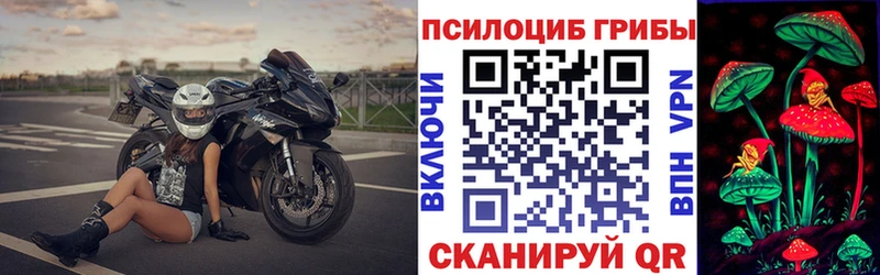 дарнет шоп  даркнет наркотические препараты  Галлюциногенные грибы Psilocybe  Сергач 